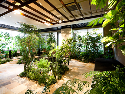 ヒーリングフォレスト｜パークコート麻布十番ザタワ｜