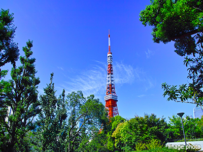 都立芝公園｜パークコート麻布十番ザタワー